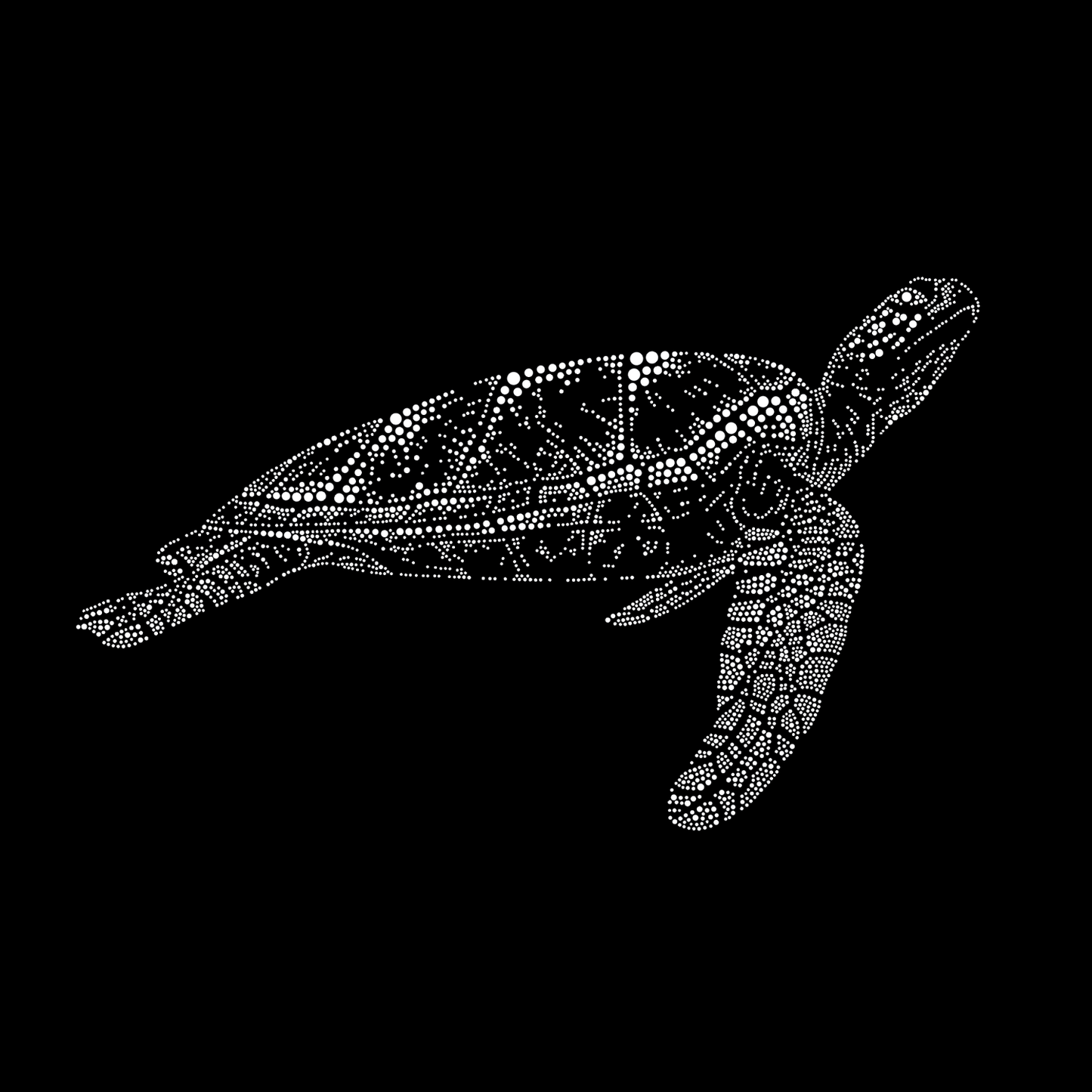The Turtle – Light Sculpture