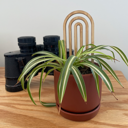 Plant trellis - 3 pack
