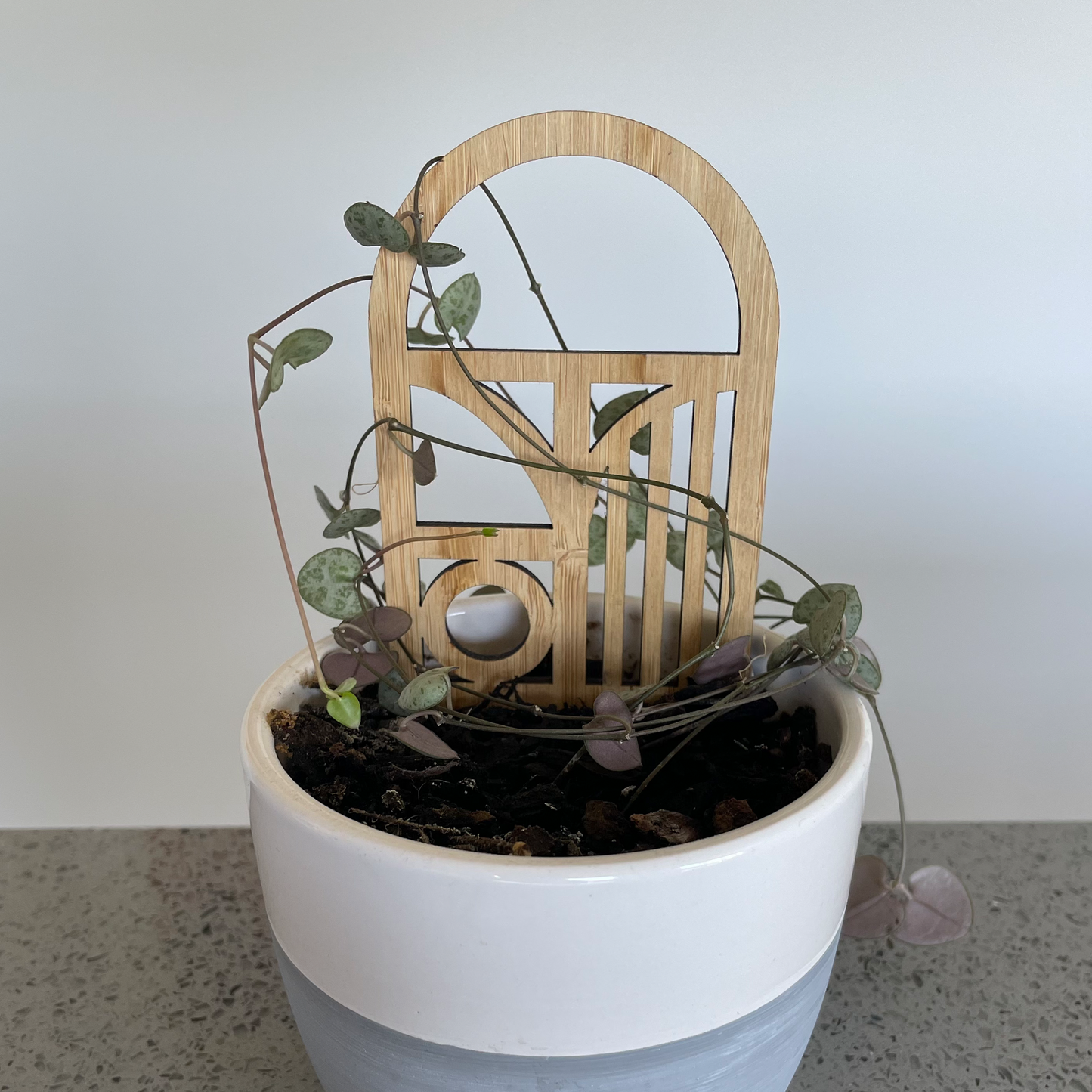 Plant trellis - 3 pack
