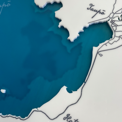 Lake Taupō Map
